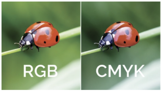 Color Accuracy in Proofing